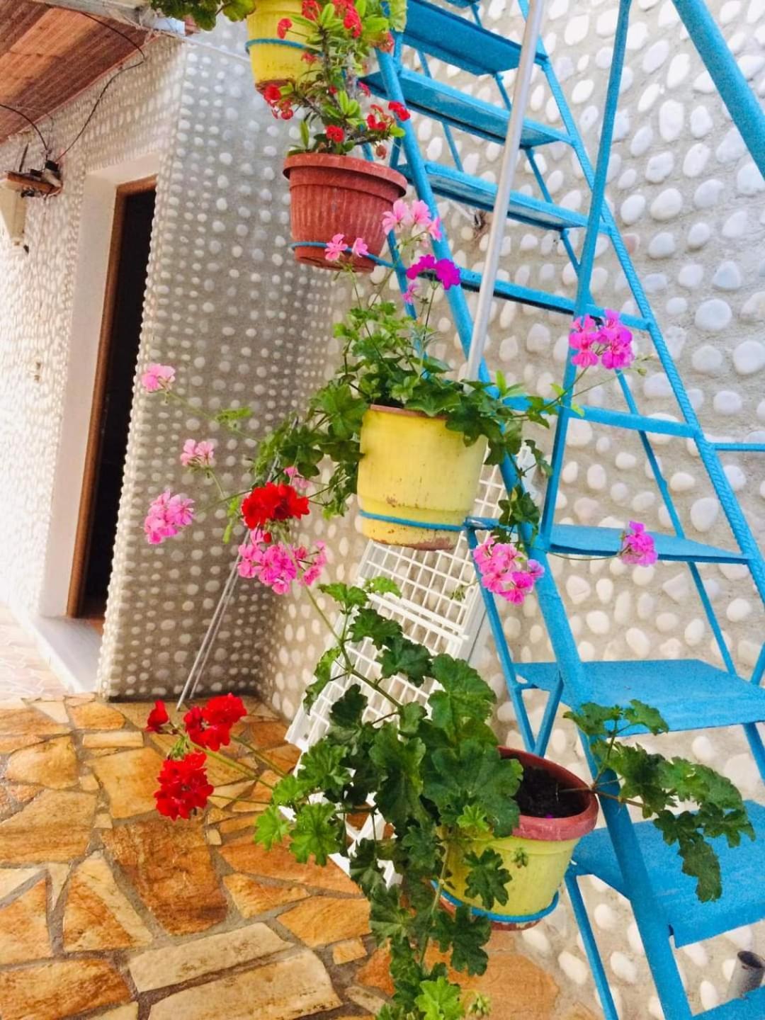 מלון הימארה Relaxation Place מראה חיצוני תמונה